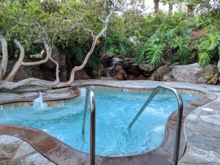 Oceanfront Condo Breathtaking Sunsets - D-31 - Oceanside - 3