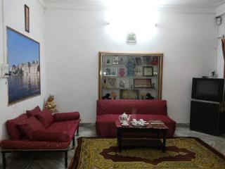 Rajasthani haveli hotel - Udaipur - 5