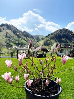 Pensiunea Acasa la Moieciu - 9