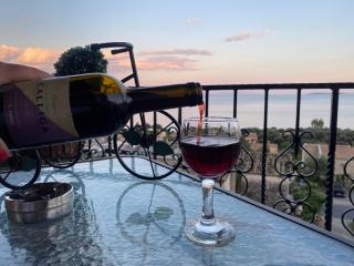 Nota apt 'vacations near the sea'1 - Barbati - 9
