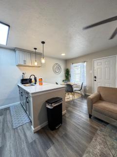 The Beacon Suite 1BD Apt - Dallas - 4