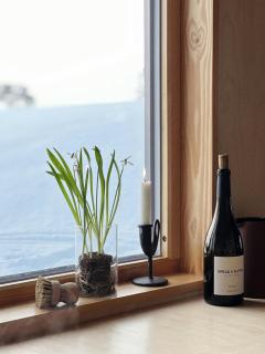 Premium Cabin By Reinsvatn With Scenic Views - Treungen - 1