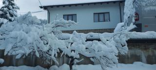 Panoramic House - Borsa - 6