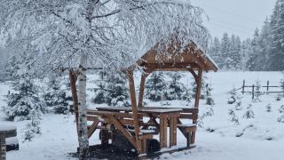 Cabana Alpin - Dorna-Arini - 8