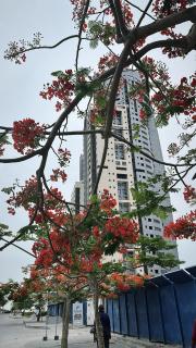 Eko Atlantic apartment - Lagos - 9