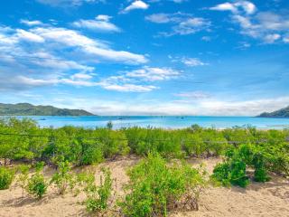 Absolute Beachfront Master - Horseshoe Bay - 5