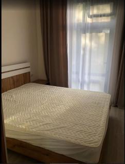 Коттедж в центре отдыха Атлантис - 6