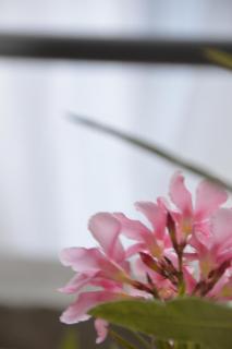 Villa Maghetti - modernized flat in historic palazzo in the center of Luino - Luino - 2