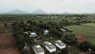 Jawai Greens - Jawāi Bāndh - 8