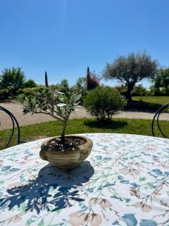 Le Domaine d'Adrien - Larnage - 9