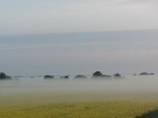 Tropikalna Odnowa - Fałkowo - 8