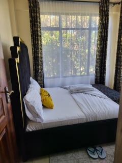 G&G Executive lake view 2 Bedroom - Nakuru - 5