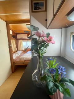 Campingwohnung am Silbersee in Freiburg - Freiburg im Breisgau - 1