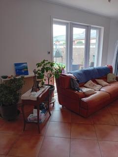 Maison plein pied blaesheim chien accepté - Blaesheim - 3