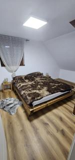 Apartman Bajt - Ravna Gora - 1