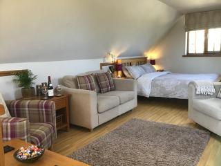 Forest Barn in the national park & near beaches - New Milton - 9