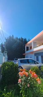 Villa LIKAJ - Berat - 3