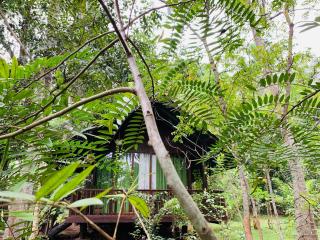 Nature World Jungle Paradise - 6