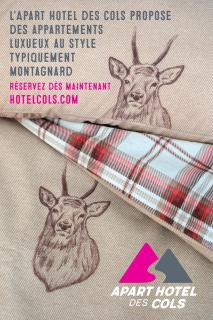 Apart Hôtel des Cols - 2