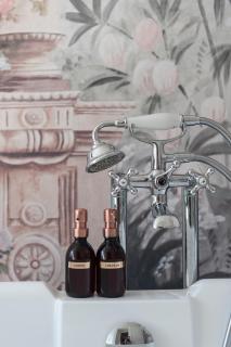 Chez Diane - Saint-Amand-Mont-Rond - 8