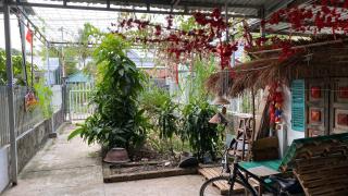 Your house Phu Quoc 1 - Phú Quốc - 6