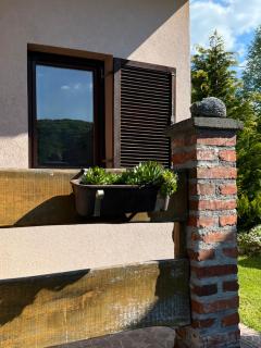 Hacienda in pure nature - Ožegovci - 3