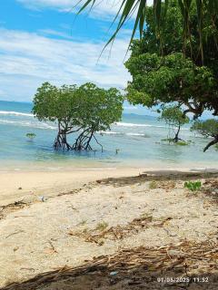 MALLICK PALACE Neil Island South Andaman - Neill Island - 9