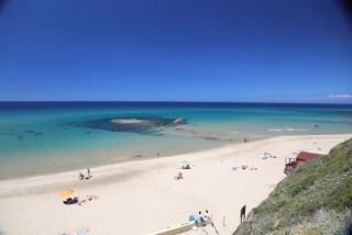 I mandorli - Castelsardo - 0