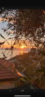 Il Gabbiano Di Pieve - Pieve Ligure - 3