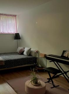 Private Room with Independent Entrance in Basel - Eurovision 2025 - 5