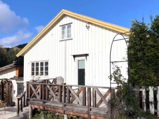 Sentrumsnær i Kongsberg - Kongsberg - 2