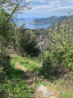 La Casa Rossa di Maddy - Corniglia - 4