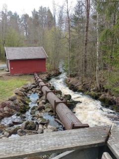 Flexible Myllykallio - 8