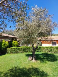 Casa vacanza centro Sardegna - Sorgono - 9