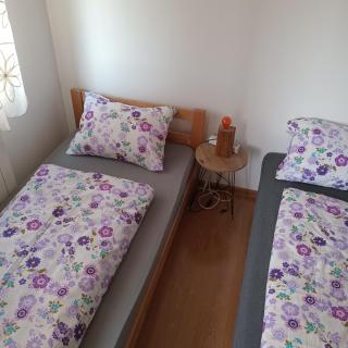 Tea - Sremska Mitrovica - 3