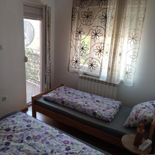 Tea - Sremska Mitrovica - 4
