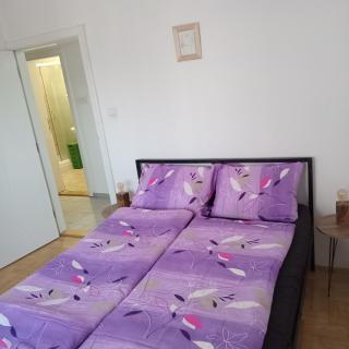 Tea - Sremska Mitrovica - 5