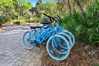 Inlet Breeze - Inlet Beach - 8