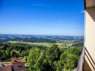 Inviting apartment in Freyung with sauna & indoor pool - Freyung - 6