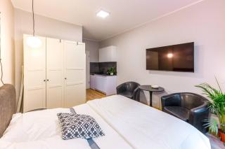 Ground-floor Studio In Pberg - Berlino - 3