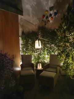 Stade de France - Magnifique terrasse arborée - 1