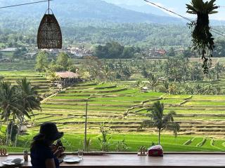 Metta Cabin Rice Terrace Jatiluwih Babahan Bali - Angsri - 4