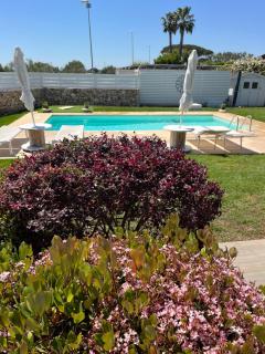 Villa Maderna - Rutigliano - 8
