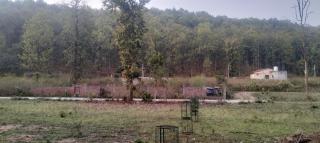 Tranquil jungle The Food Lab Retreat - Jāmb - 6