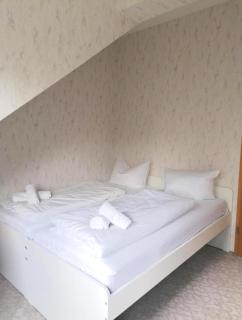 Ferienhaus Hoher Weg - Urlaub, Wandern, Downhill und Workation am Nationalpark Harz - Sankt Andreasberg - 7