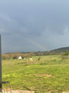 Studio de jardin neuf - 6