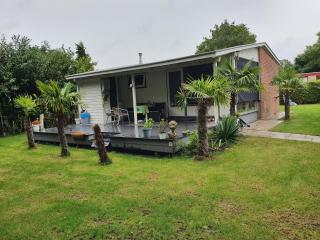 Palm tree beach house - 4