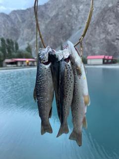 Dream Nest Resorts - Skardu - 2