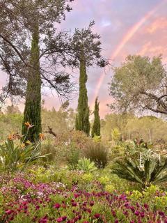 Can Mimosa - Tortosa - 6