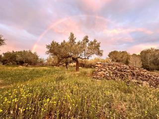 Can Mimosa - Tortosa - 5